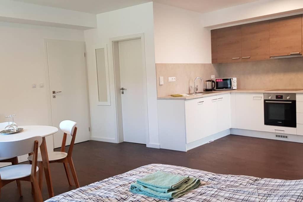 Suite With Back Garden Karlsbad Buitenkant foto